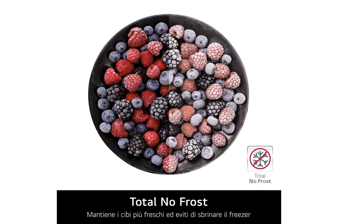 Total No Frost frigorifero GSLE91EVAB
